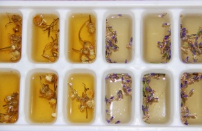 tea infused ice cubes skin care